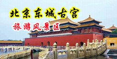 jk白丝美女尿尿中国北京-东城古宫旅游风景区